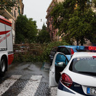 Maltempo a Roma: cade albero su auto in via Carlo Botta (foto Davide Fracassi/Ag.Toiati)