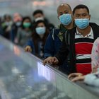 Coronavirus, in Cina divieto di consumare carne di cane e gatto
