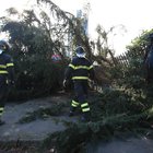 Maltempo, vento record da Pescara a Milano: alberi crollati, piste da sci chiuse