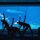 Relax fra gli squali: la nuova frontiera dello yoga
