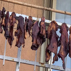 Carcasse di animali appese al balcone, foto choc sui social: scatta la denuncia