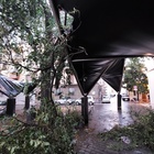 Maltempo a Terni, danneggiate le vele di piazza dell'Olmo. L'architetto Patalocco: «Danno provocato dalla mancata manutenzione»