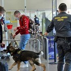 Stop quarantena area Schengen