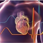 Il cardiologo Rebuzzi: «Cuore bersaglio del Long Covid, i segnali da non sottovalutare»