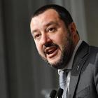 Salvini: «Queste bestie devono marcire in galera»