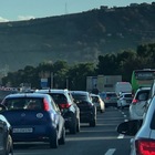 Nuovo pericolo in A14, cinghiali sull'autostrada: un'auto e un Tir ci finiscono contro