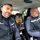Narni, gli agenti della polizia locale salvano una cagnolina dalla strada