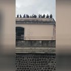 Napoli, coronavirus: rivolta nel carcere di Poggioreale per la sospensione dei colloqui