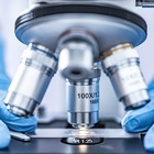 Fecondazione in vitro: le tecniche e le indicazioni scientifiche per aumentare i successi