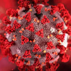 Deltacron, il mix tra varianti del virus che cambia. Gli esperti: «Possibile che sia necessario aggiornare i vaccini»