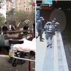 Milano, incidente in metro rossa sospesa per due ore: feriti alla fermata Uruguay. Frenata per una donna sui binari