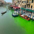 Venezia, l'acqua del Canal Grande diventa verde fosforescente. Cosa sta succedendo