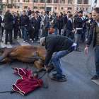 Roma, cavallo si schianta davanti a Palazzo Chigi