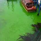 L'acqua diventa verde fosforescente vicino al ponte di Rialto. Cosa sta succedendo a Venezia