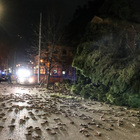 Forte vento a Roma, albero cade davanti all'Umberto I: passante ferito, è in codice rosso. Moria di uccelli