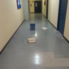 Bacinelle a terra per raccogliere l'acqua che piove dal soffitto: benvenuti in tribunale Bacinelle a terra per raccogliere l'acqua che piove dal soffitto: benvenuti in tribunale
