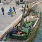 Venezia, banchi a rotelle gettati dal liceo e destinati al macero: la foto fa il giro del web