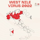 West Nile, focolaio di virus Usutu vicino Frosinone 