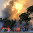 Roma, incendio a Castel Fusano: brucia la pineta, fiamme vicino a un campeggio