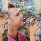 Il bacio del coniglio intenerisce i social: morbidezza assoluta