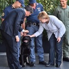 • Renzi presenta cane Leo alla Merkel: ha salvato Giorgia
