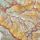 Ciociaria, tutela dell'orso e del camoscio: numero chiuso controllato per l'accesso ad alcuni sentieri montani