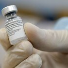 Vaccino Pfizer può proteggere da varianti inglese e sudafricana: lo studio di Pfizer e Università del Texas