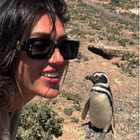 Cecilia Rodriguez selfie con il pinguino in Argentina e dedica a Ignazio Moser: «A te»