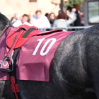 Capannelle, Roma Champions Day