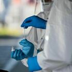Coronavirus in Italia, bollettino domenica 9 maggio: 139 morti (dato più basso dal 25 ottobre) e 8.292 casi positivi