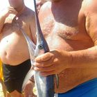 Cattura un cucciolo di pesce spada, ora rischia una multa da seimila euro Cattura un cucciolo di pesce spada, ora rischia una multa da seimila euro