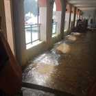 Bomba d'acqua, decine di negozi e uffici allagati. Interventi con le idrovore Bomba d'acqua, decine di negozi e uffici allagati. Interventi con le idrovore