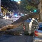 Roma, crolla albero, 19enne salva per miracolo. Il padre: «Stava per morire». Il marito della Raggi: «I pini cadono ovunque»
