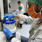 Covid, aziende farmaceutiche insieme per trovare una cura con il plasma alla pandemia