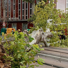 Maltempo in Veneto, violente grandinate: albero cade sulle rotaie del tram