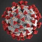 Coronavirus, balzo dei contagi a livello globale. In Spagna oltre un milione di casi
