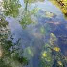 Inquinato il fiume Melma a Silea, grande macchia di gasolio avvistata da numerosi residenti. La perdita sotto la casa di riposo Villa Argento