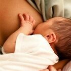Mamme vaccinate allattano per dare più anticorpi ai bimbi (fino ai 7 anni): il movimento nato in California