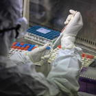 Coronavirus, un laboratorio israeliano ha isolato un anticorpo: «Primi passi verso una cura»