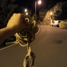 La trappola: corda tesa sulla strada, ragazza in scooter ferita gravemente, caccia a quattro minorenni a Santarcangelo