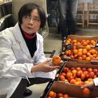 Le arance siciliane in aereo in Cina