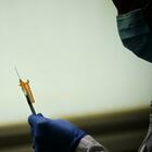 Vaccino in vendita a mille dollari sul dark web, allarme della polizia postale: «Truffe e dosi contraffatte»
