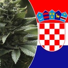Cannabis, la Croazia discute la legalizzazione: tra i vantaggi anche l'impatto sul clima