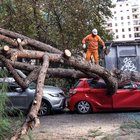Roma, alberi caduti e allagamenti: il maltempo flagella la Capitale. Più di 500 interventi di vigili e pompieri, emergenza Tevere