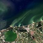 Dai satelliti immagini del fango in Adriatico per 50 km