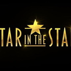 Stasera in tv, Star in the Star su Canale 5: