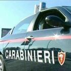 Ladri in azione a Lignano: rubano dal bar amplificatore, affettatrici e forni elettrici. Bottino da 5mila euro