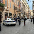 Cane rottweiler precipita da finestra e colpisce ragazza incinta, 28enne in ospedale. L'incidente in via Frattina a Roma. Morto l'animale