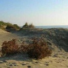 Ragazzo muore a 17 anni, sepolto vivo sotto la sabbia: spinto in una buca dal collasso di una duna