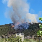 Frosinone, incendi minacciano abitazioni e museo: in fumo 40 ettari nel Cassinate